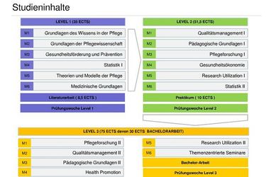 Paracelsus Medizinische Privatuniversität - Pflegewissenschaft Online