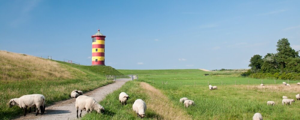 Master Gerontologie in Niedersachsen?